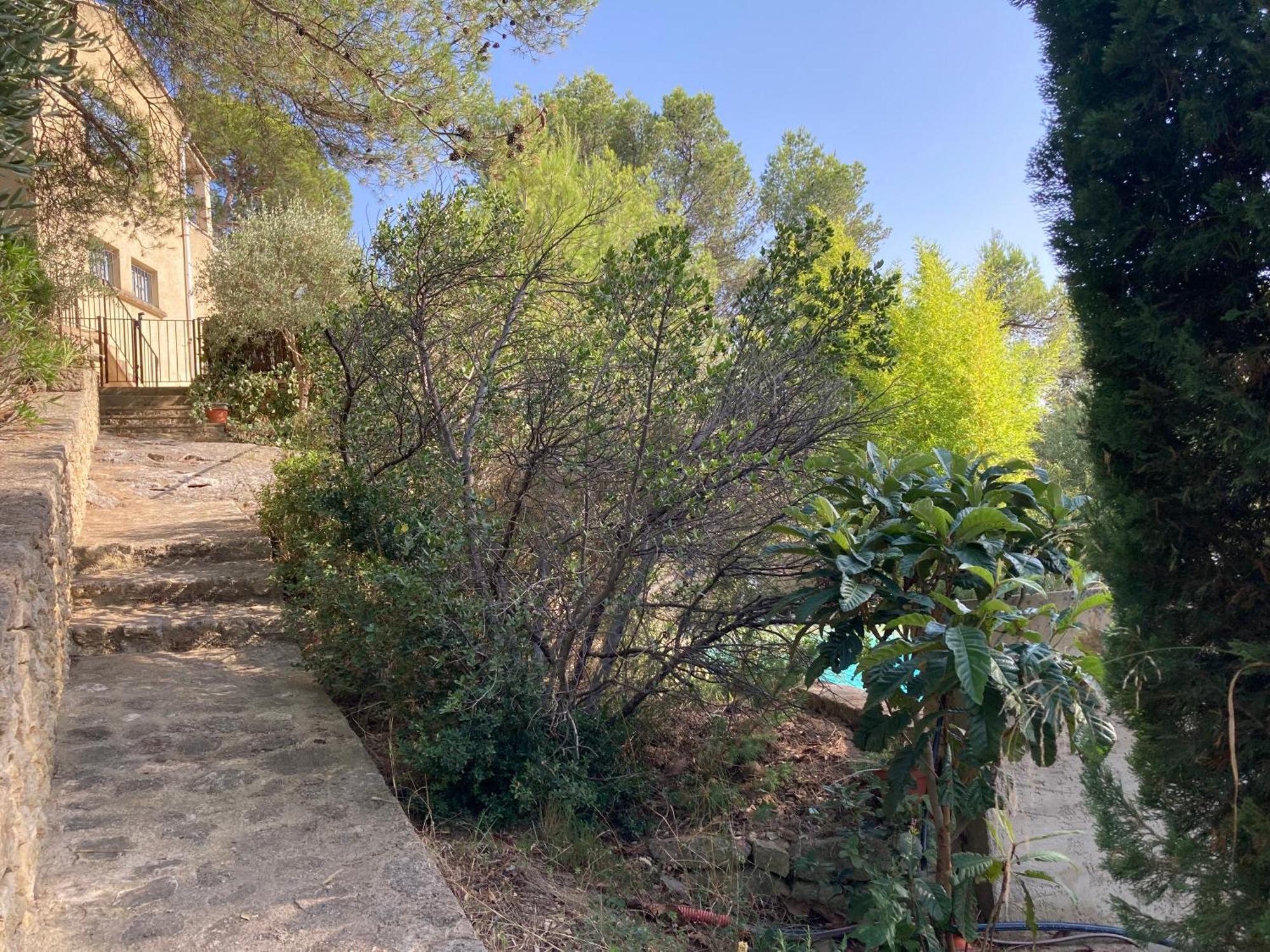 Le Gite Sous Les Pins Les Taillades Exterior photo